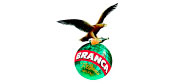 fernet branca